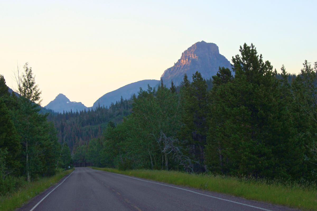 Two Medicine Road, flanked by dense green forests under a soft, early morning light, leads to a rugged mountain in Montana.