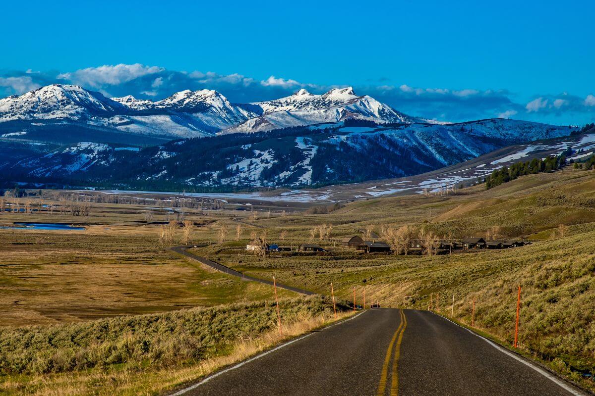 Vast Image of Montana Showing the Road and Mountains