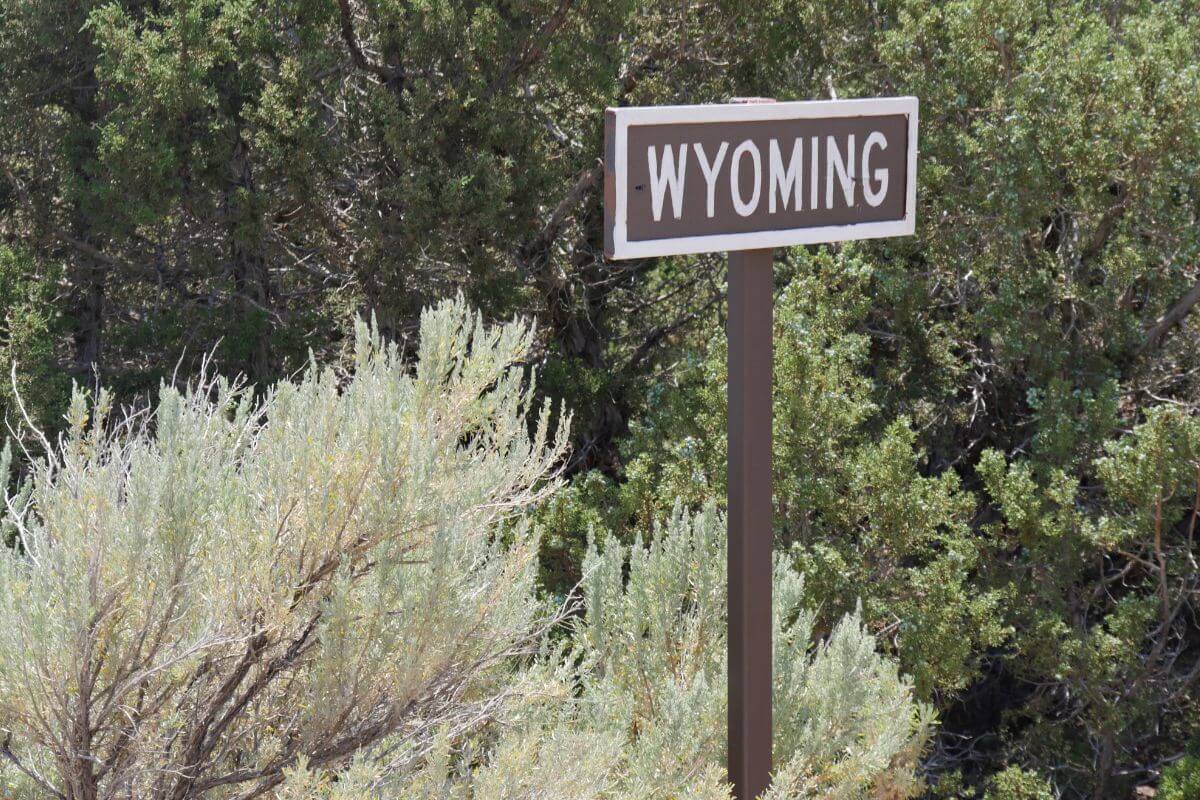 Montana-Wyoming border with a Wyoming sign.