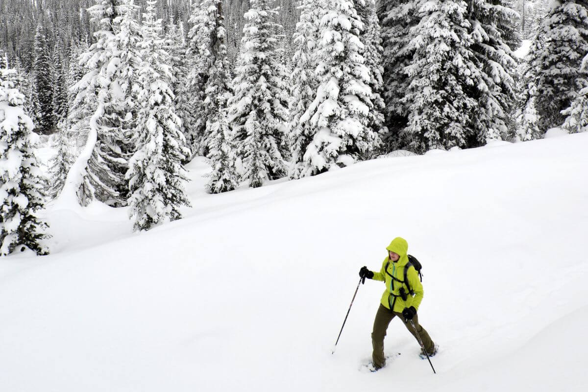 A man in a yellow jacket skiing down a snowy slope in Montana.