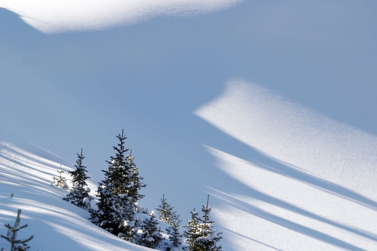 The shadow of a skier on a snowy slope in Montana.