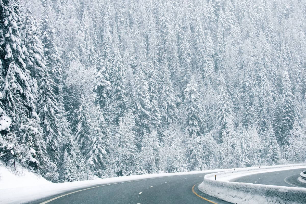A snow-covered road in Montana during winter