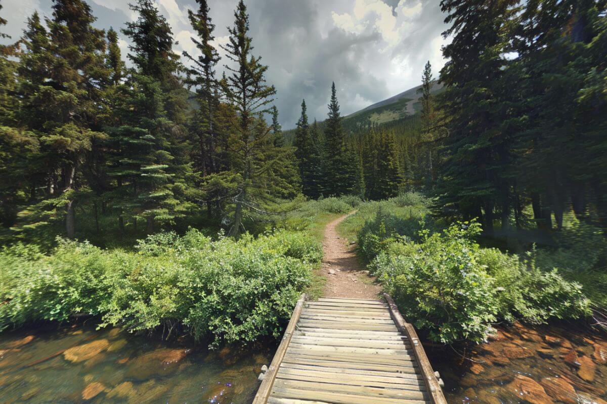 A wooden bridge spans a small stream into a dense green forest near Morning Eagle Falls in Montana
