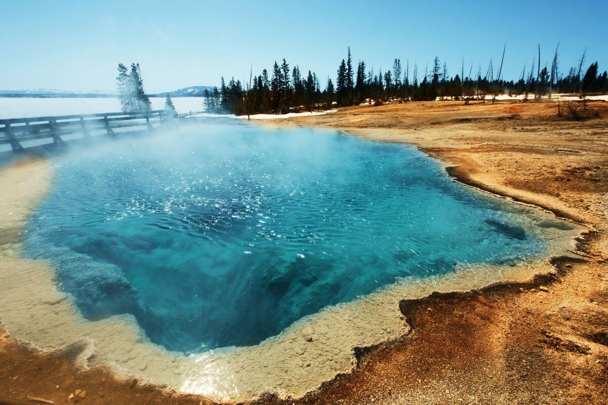 Hot springs in Yellowstone National Park.