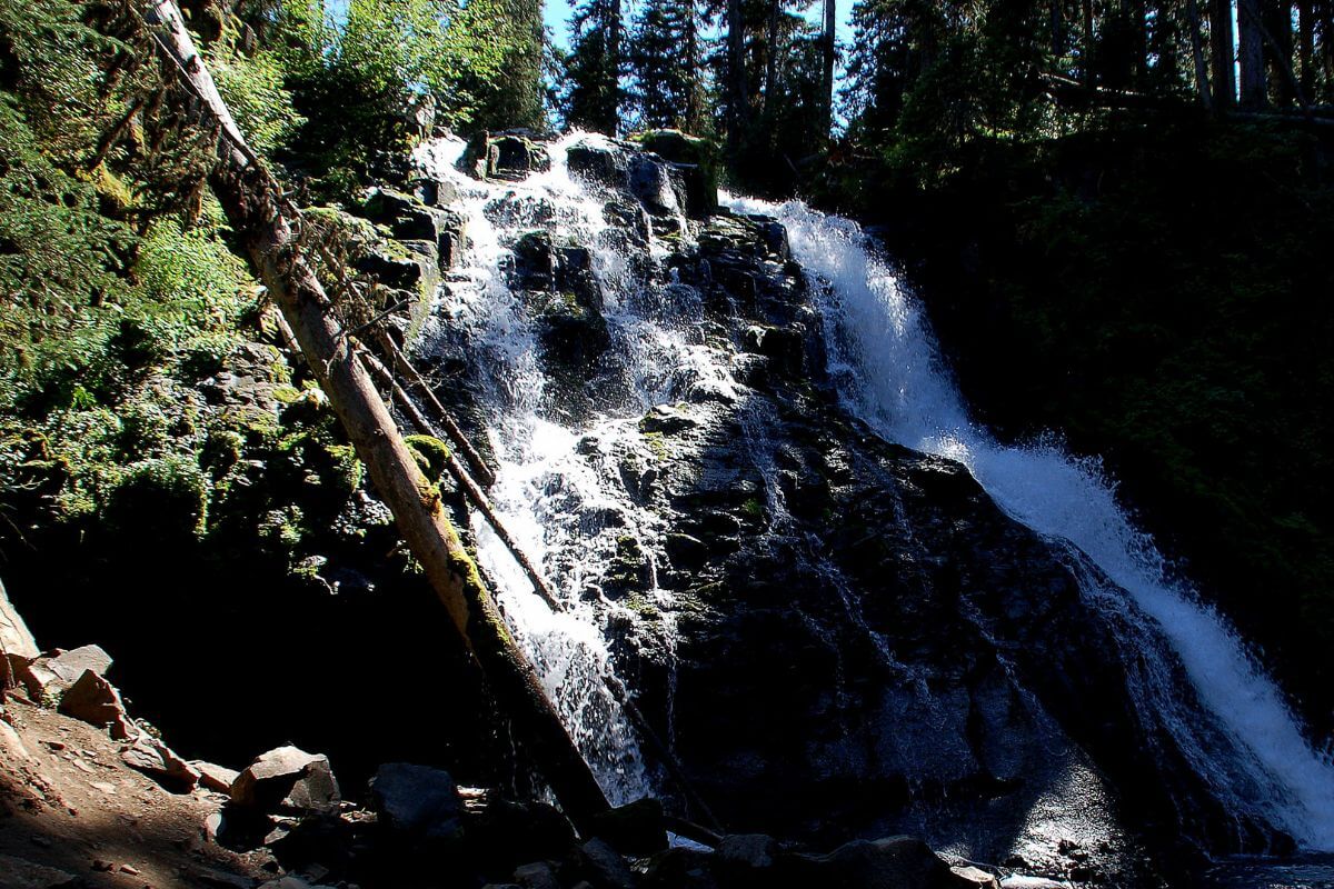 Grotto Falls in a Montana wooded area with thick vegetation