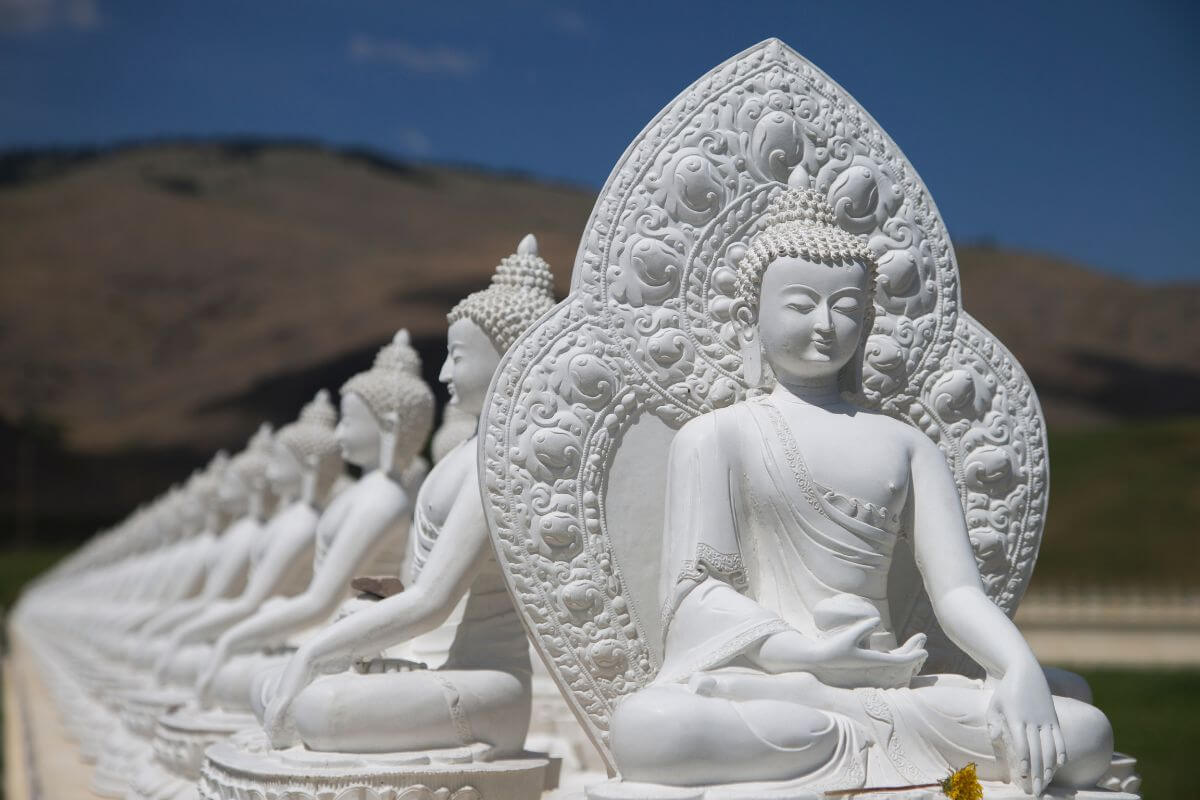 A row of white buddha statues in The Garden of One Thousand Buddhas in Montana.