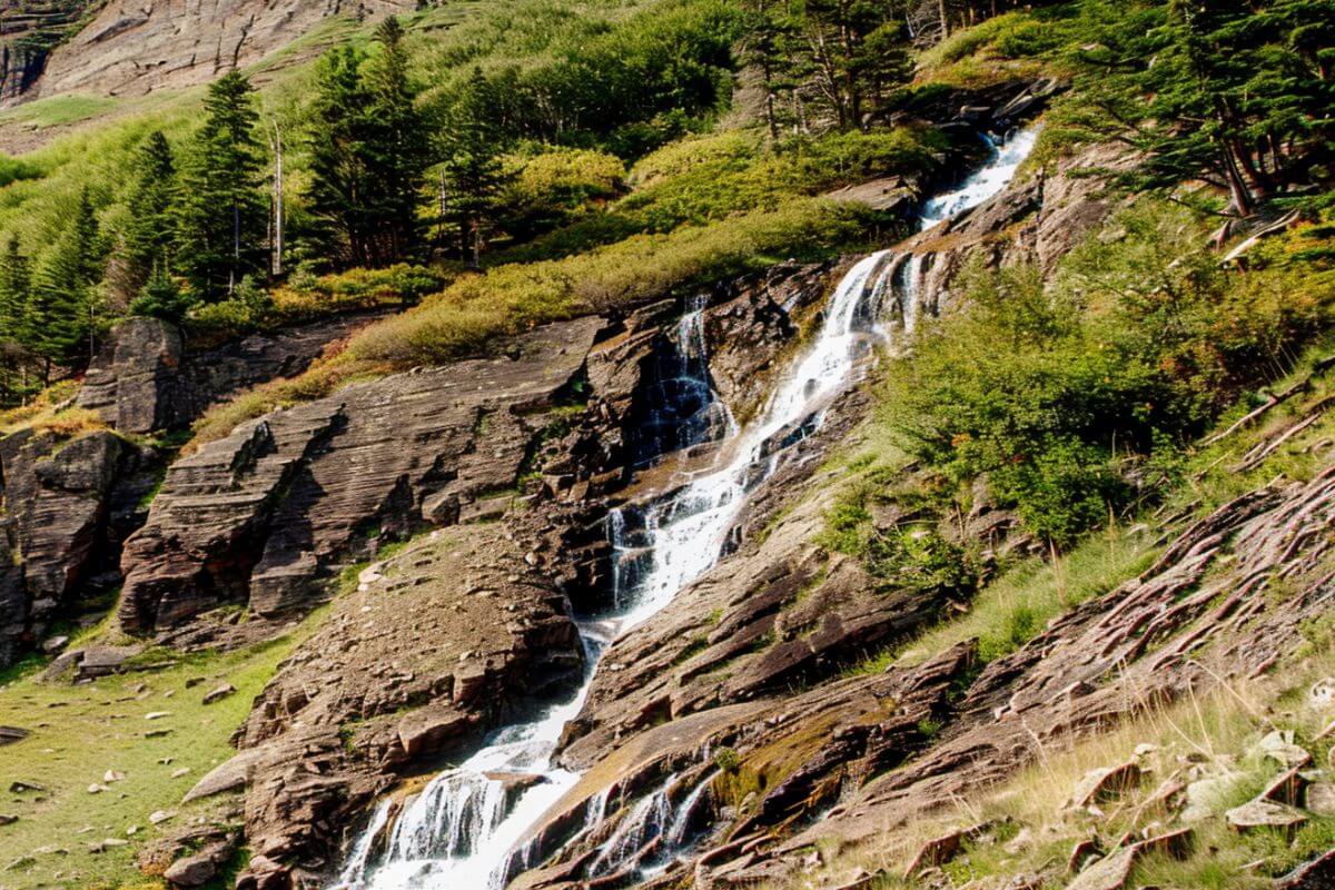 Piegan Waterfall in Montana flows over rugged cliffs surrounded by green pine trees under a clear sky.