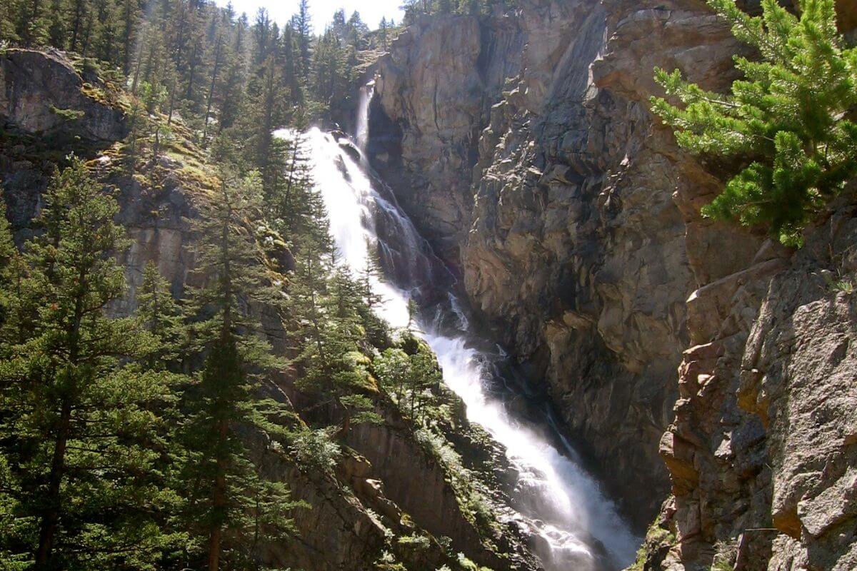 The Woodbine Falls nestled in the Beartooth Range surrounded by tall trees