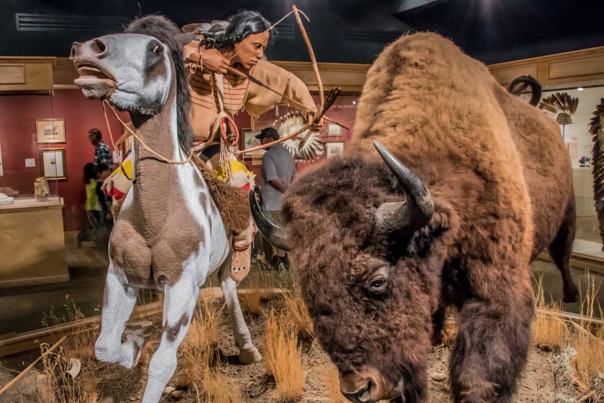 An exhibit in C.M. Russell Museum in Montana featuring a bison and a Native American man with a bow and arrows on horseback.