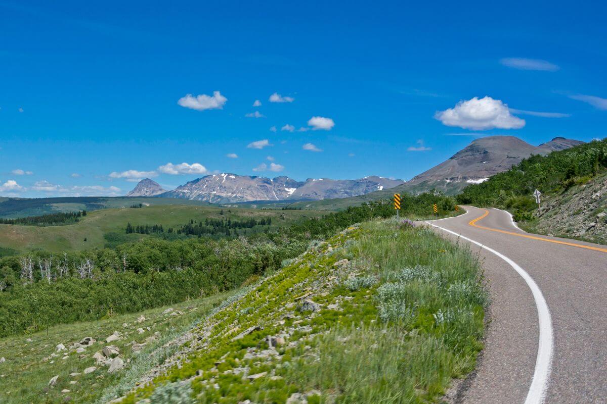 Best Montana vacations include a scenic winding road nestled in the beautiful mountainous landscape.