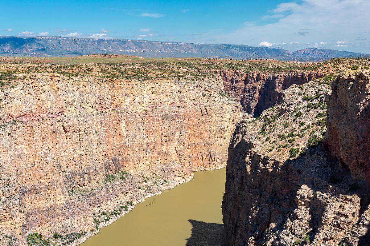 A canyon with a river in Bighorn Canyon National Recreation Area in Montana.
