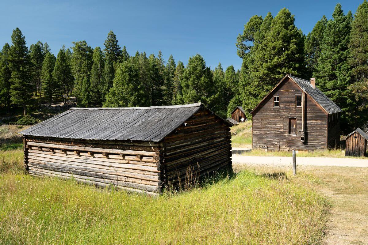 Two Wooden Buildings in a Grassy Field in Montana