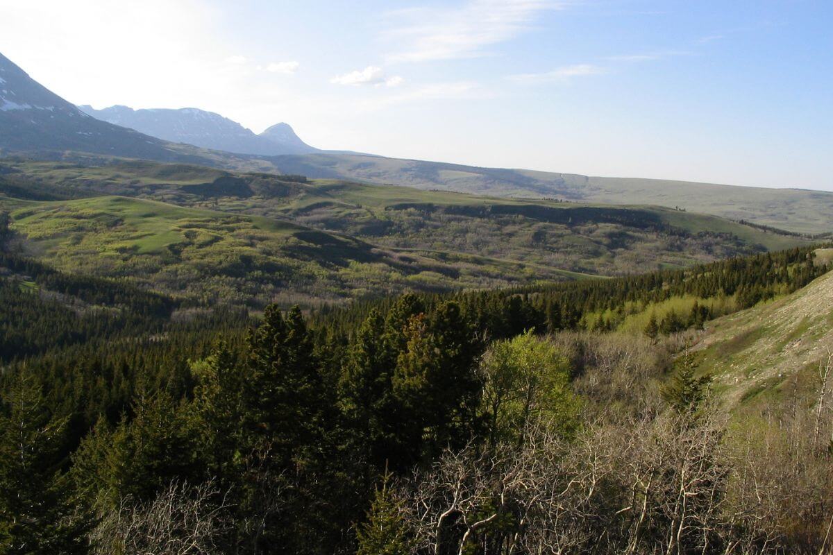 Indian reservations displaying rolling green hills and dense forests are among the restricted areas according to Montana hunting regulations.