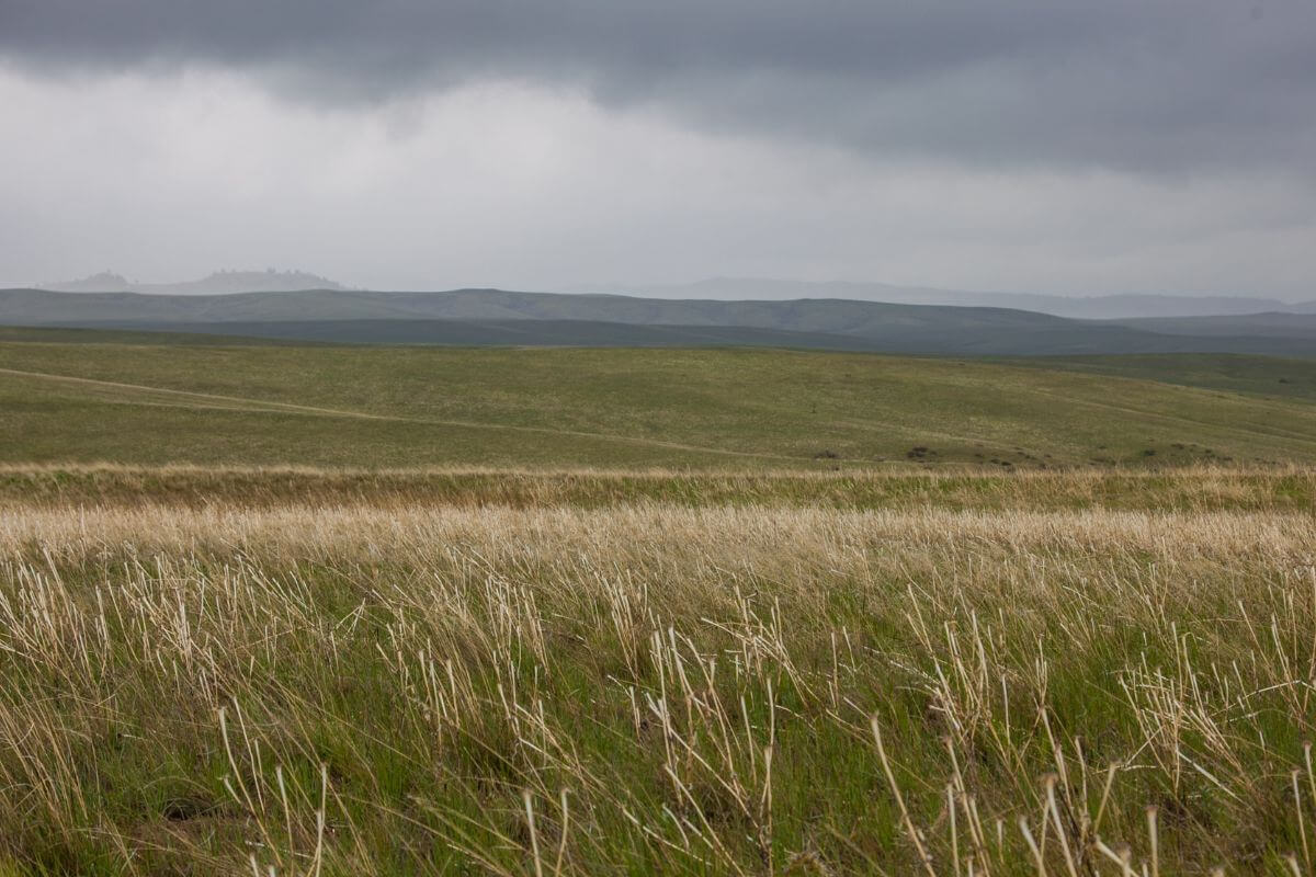 A Wide Grassy, Field Under a Cloudy Sky in Montana