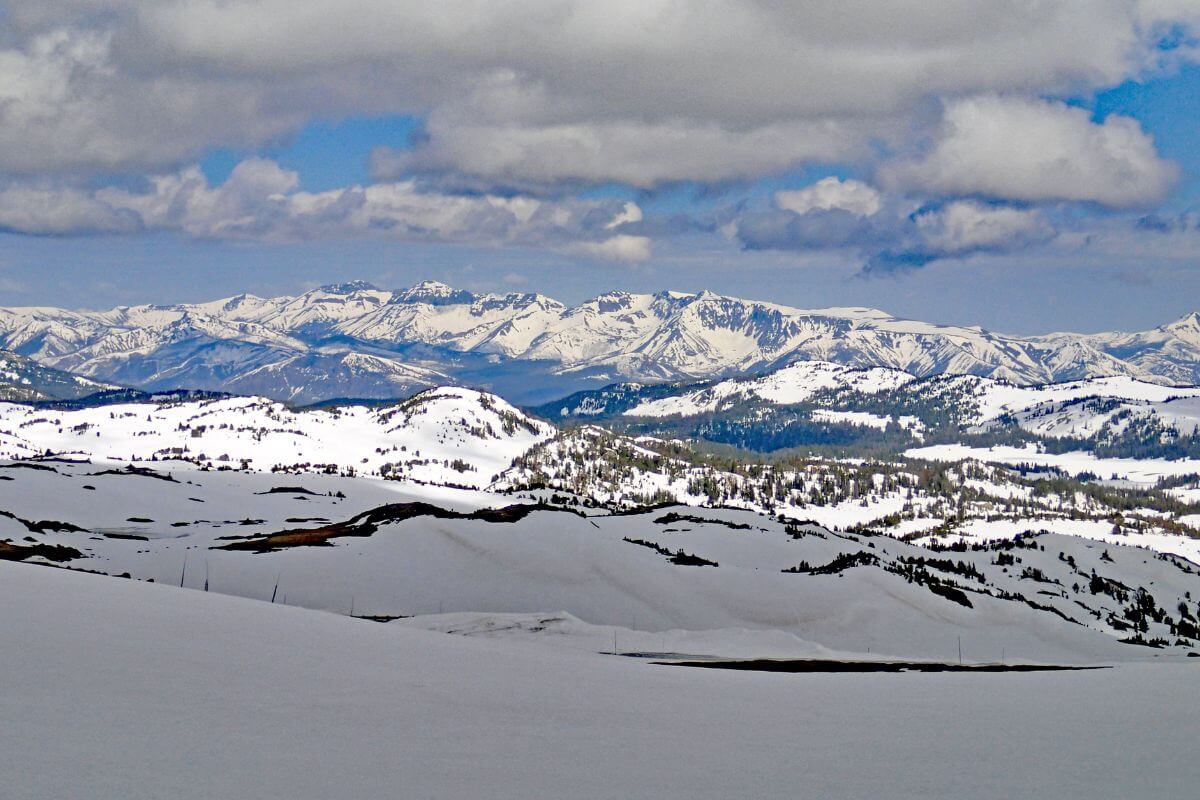 A view of a snow covered mountain range in Montana.