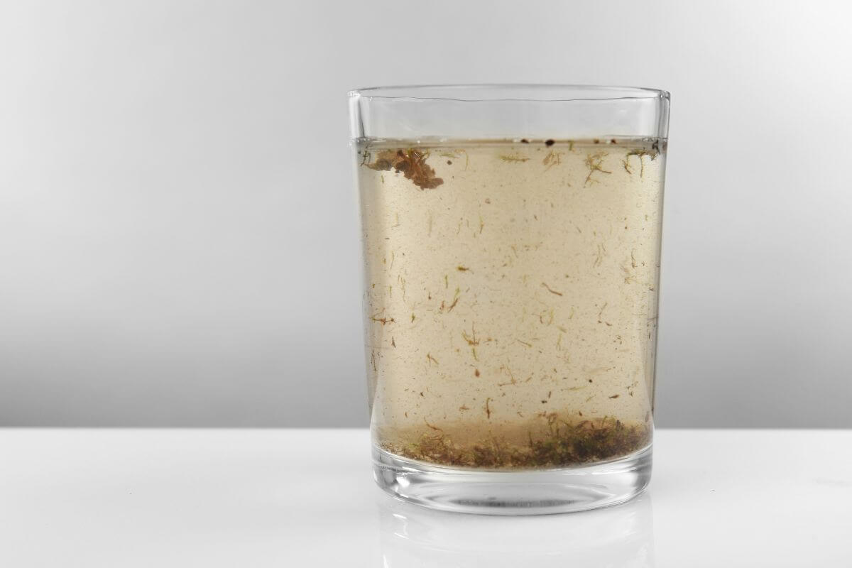 A glass filled with water containing contaminants