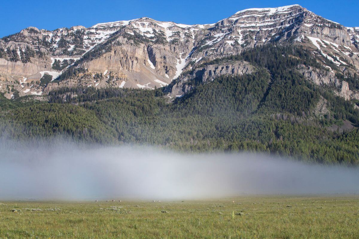 Thick fog covers a green meadow by huge mountains in the Continental Divide National Scenic Trail near Morning Eagle Falls