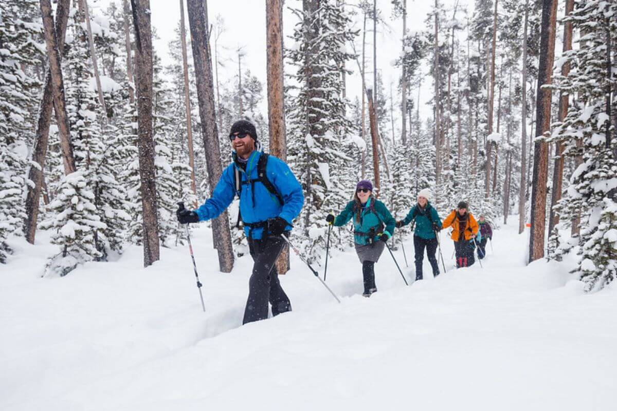 A group of skiers in Yellowstone's ski trails