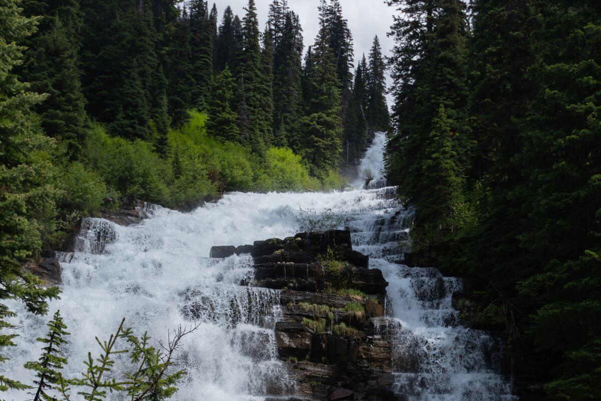 Florence Falls cascades down multiple rocky tiers surrounded by dense forest with tall evergreen trees. 