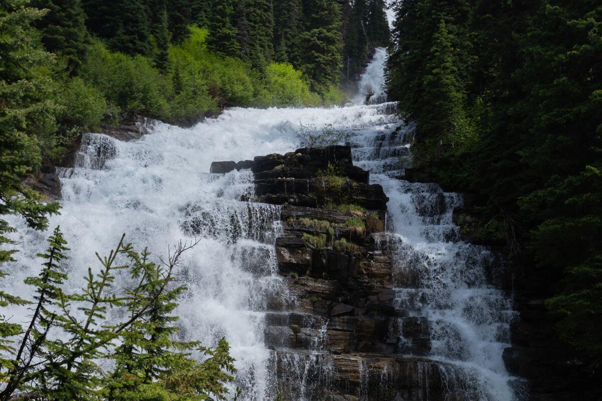 Florence Falls in Glacier County cascades through a lush forest