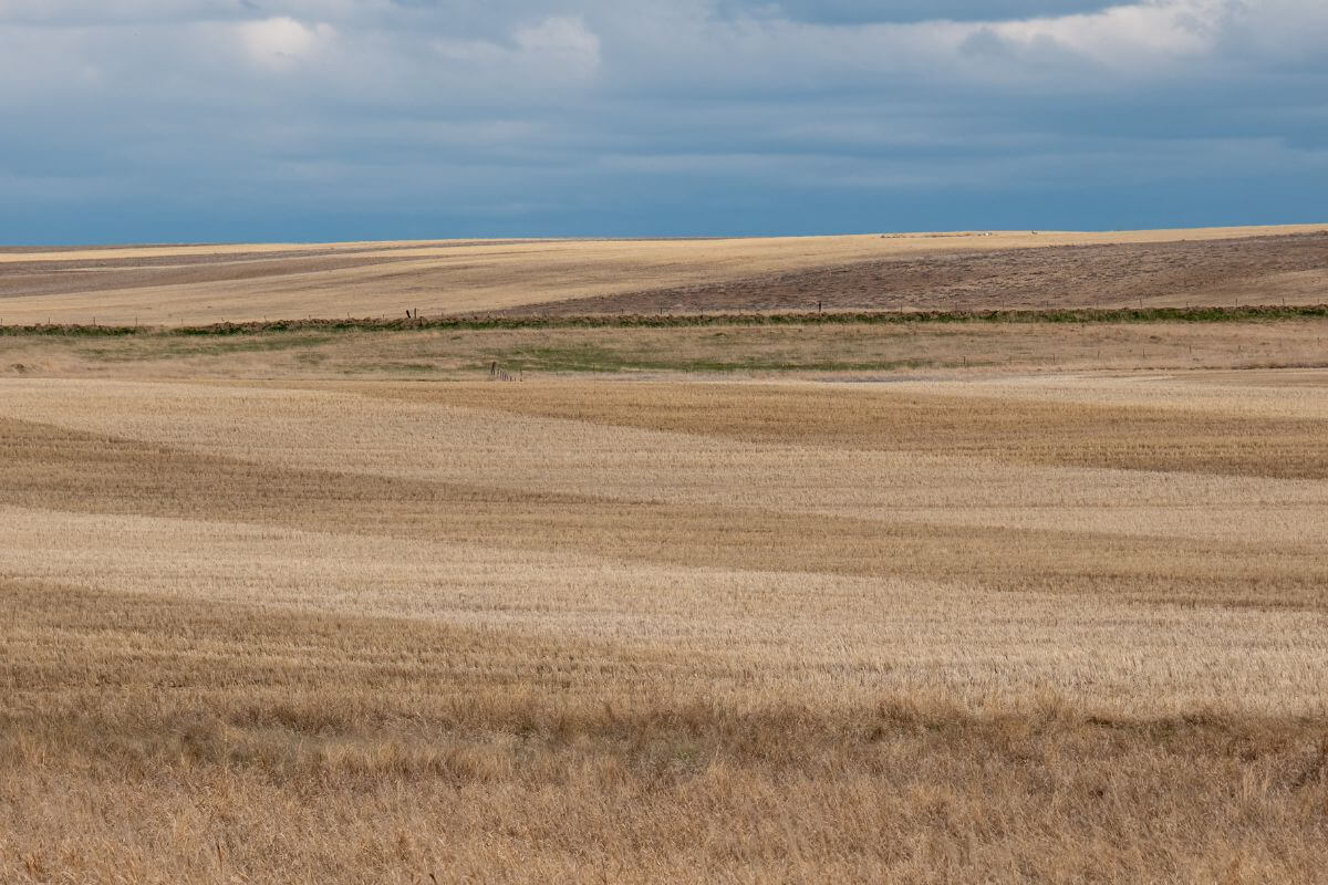 A field with a cloudy sky in Montana.