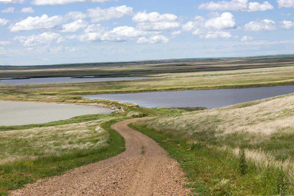 A dirt road through a grassy landscape in Medicine Lake National Wildlife Refuge in Montana, with multiple winding rivers and ponds.