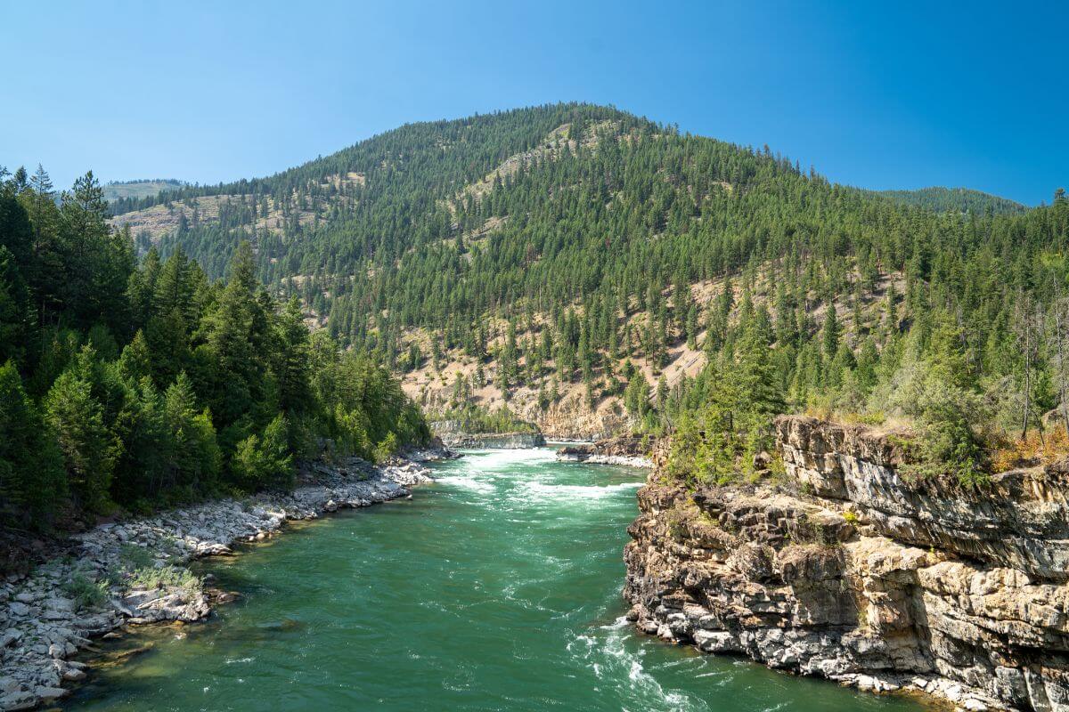 Kootenai National Forest, one of the best bear hunting spots in Montana.