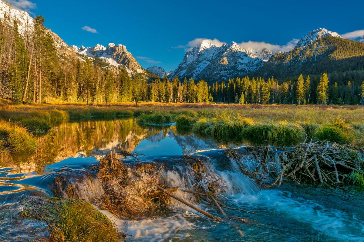 A beautiful stream in Montana set against the backdrop of majestic snowy mountains.