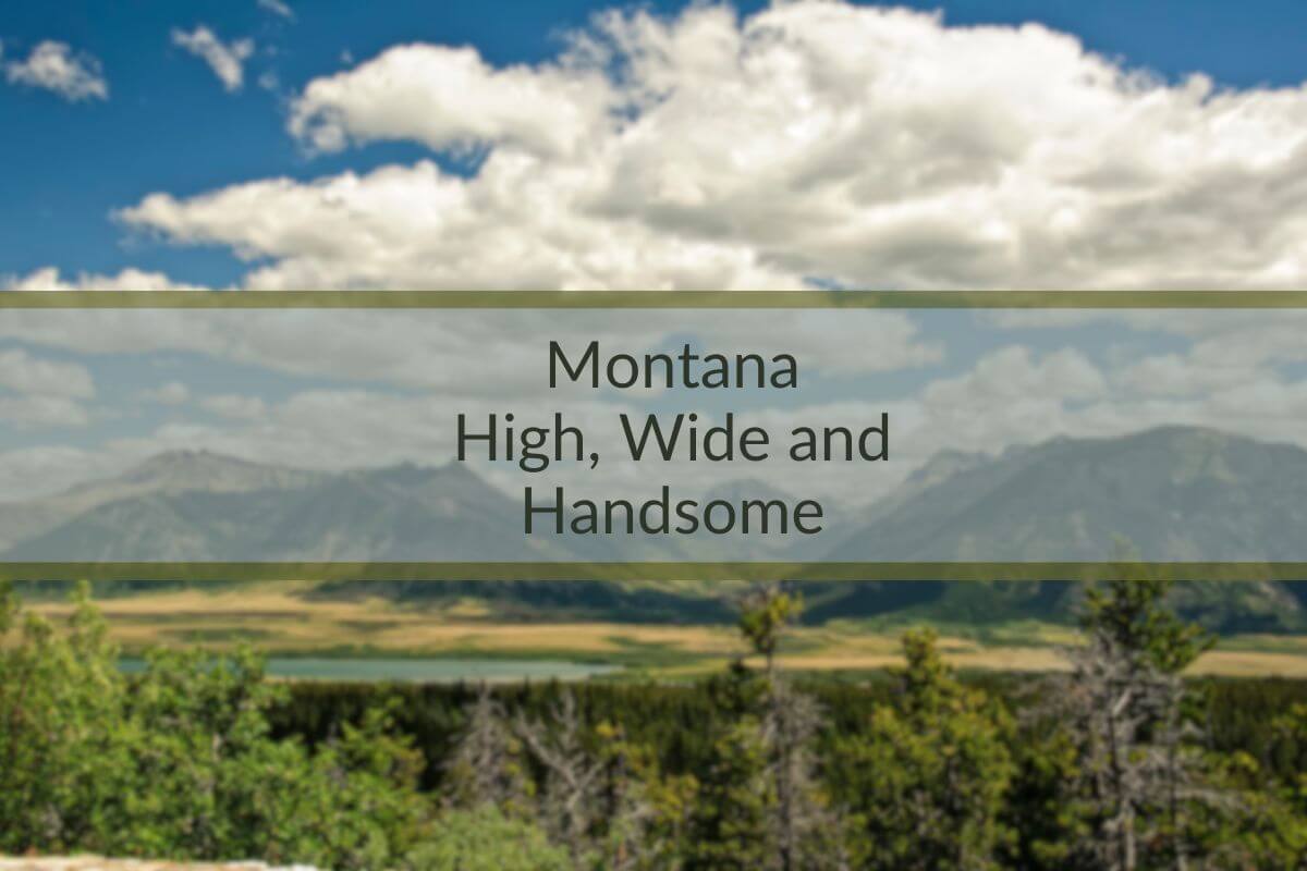Wide View of Montana Landscape