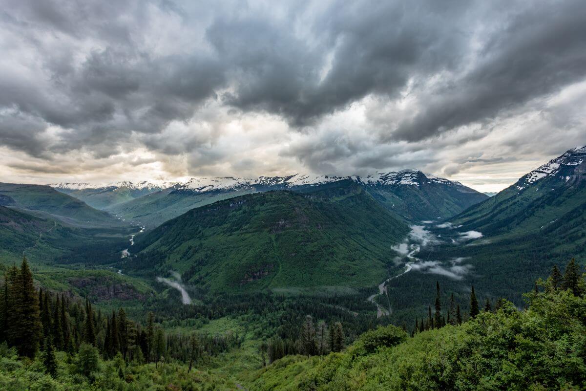 A view of a valley with trees and a cloudy sky in Montana.