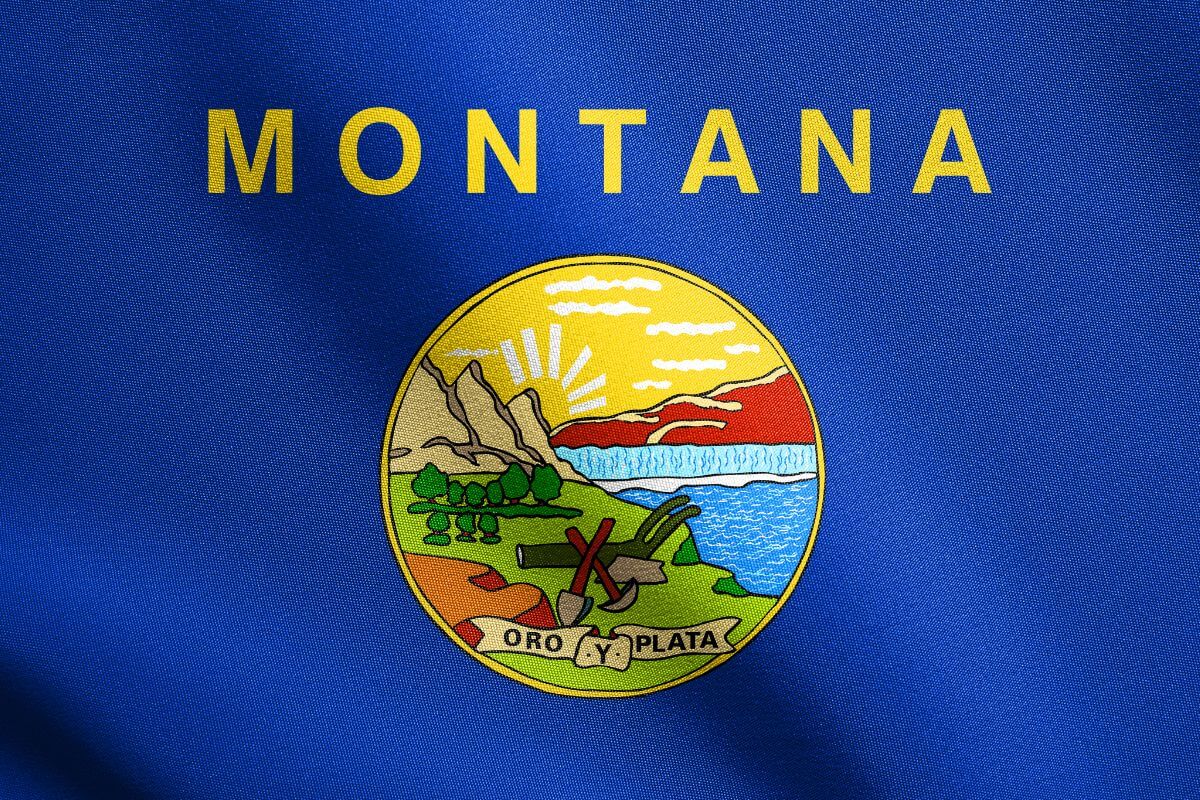 The State Flag of Montana