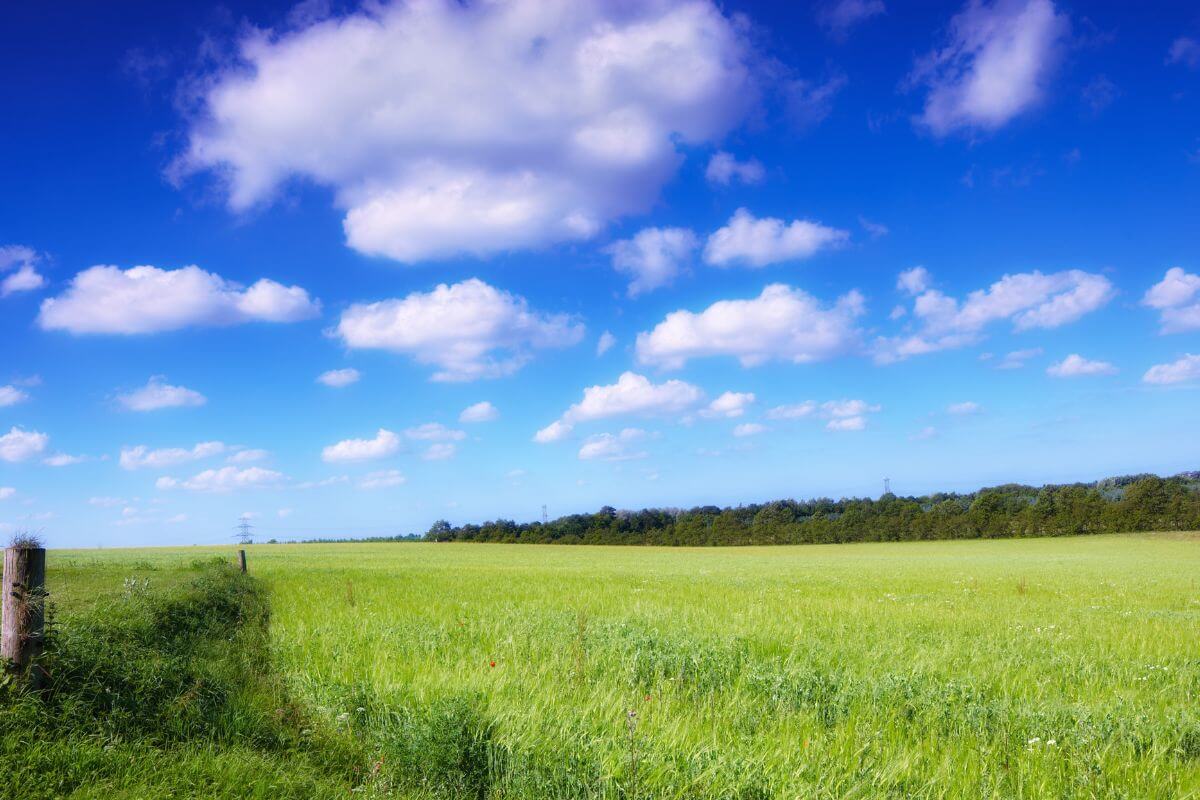 A green field and clouds in the sky.