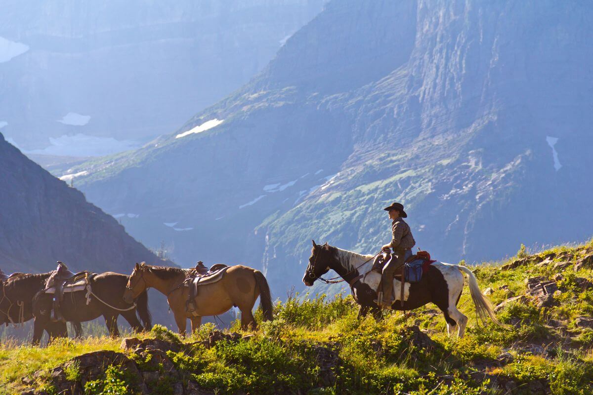 A man on horseback trails a trio of riderless horses in the Montana mountains.