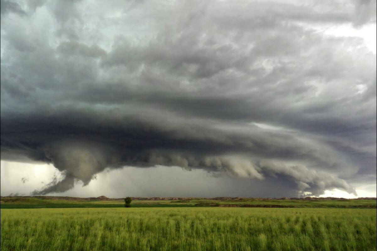 A massive tornado forming in the middle of a Montana field.