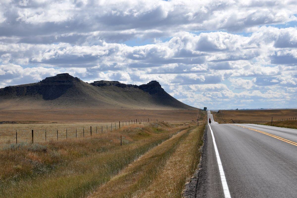 A road in the middle of a field in Montana.