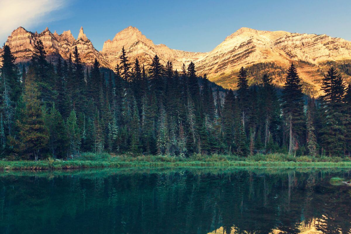 Montana's picturesque lake, nestled amidst towering trees and majestic mountains. 