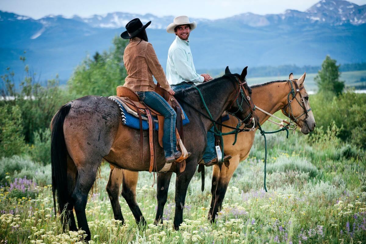 Two people on horseback in a picturesque Montana field.