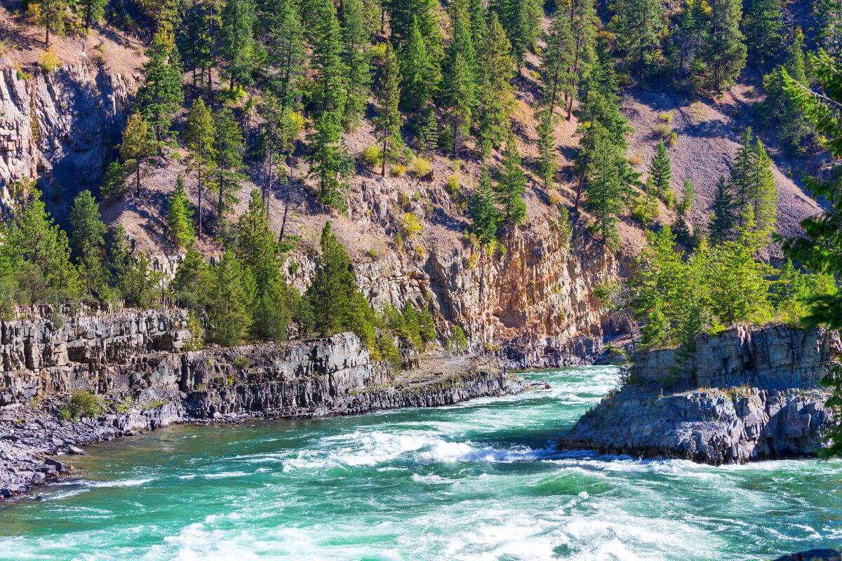 The rushing waters of the Kootenai River flow amid a mountain slope dotted with patches of trees.