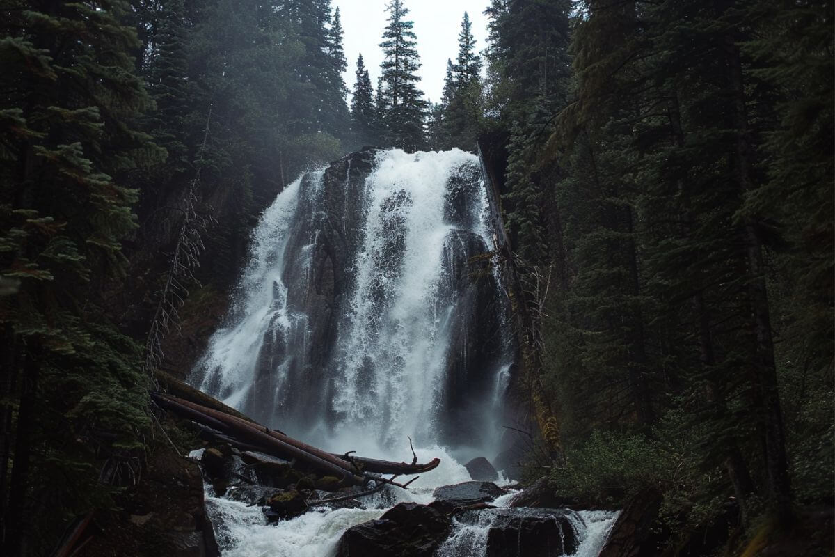 Passage waterfall cascades through a dense, pine-filled forest in Montana under an overcast sky