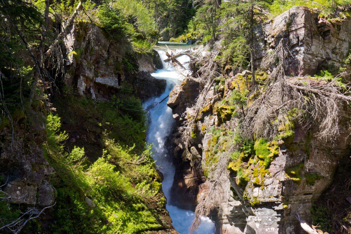 Hidden Falls flows through rock formations and lush greenery in Glacier National Park