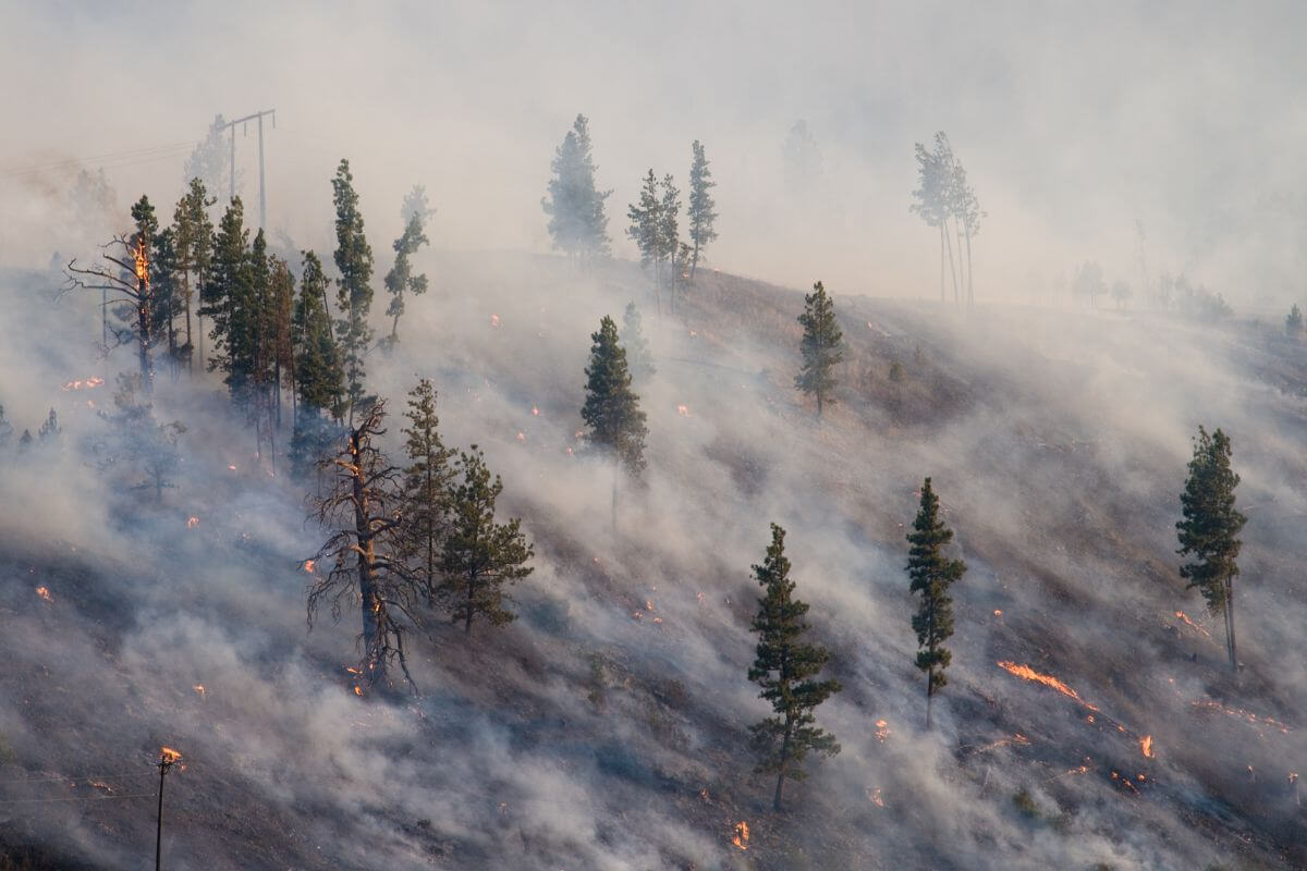 A fire burns, and smoke envelopes a hillside in Montana.