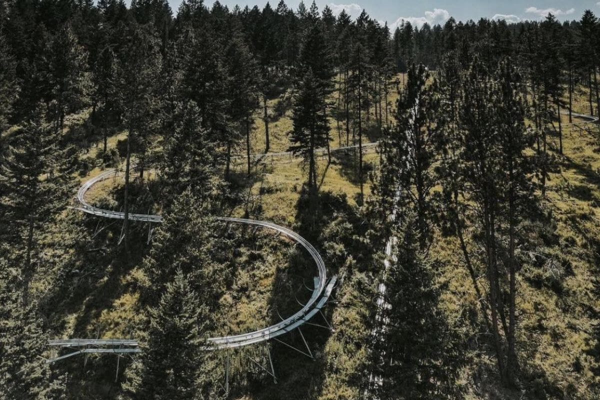 An aerial view of the Flathead Lake Alpine Coaster's track as it weaves through trees along the lakeside.