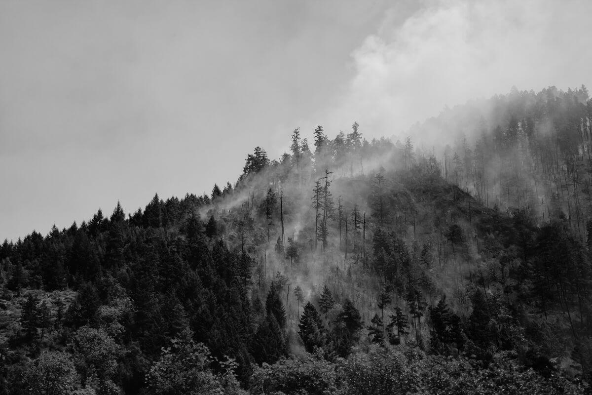 A black and white photo of smoke rising from the mountainside in Montana, signaling the start of a forest fire.