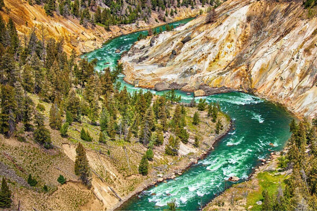A view of the rushing waters of the Yellowstone River as it flows through a gorge from the Yellowstone River Trailhead.