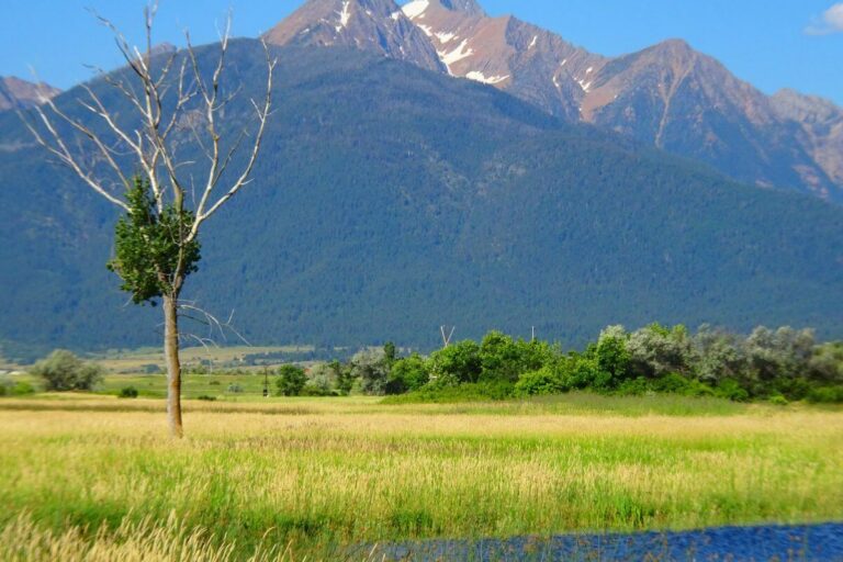 Montana's Hidden Gem: Colter Campground, Where Wilderness Whispers