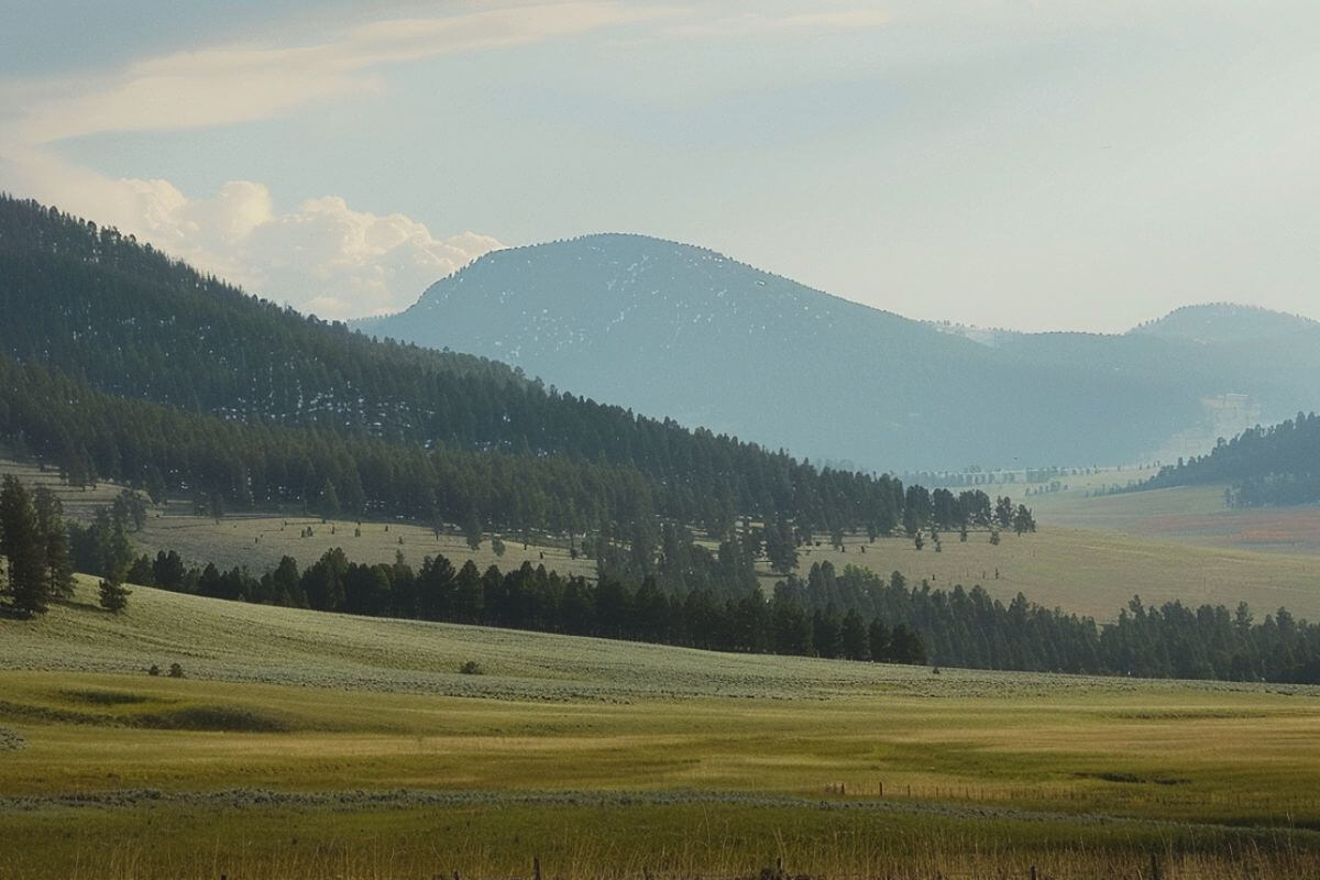A wide expanse of rolling meadows leading to hills covered with trees during a Montana Range Tour event.