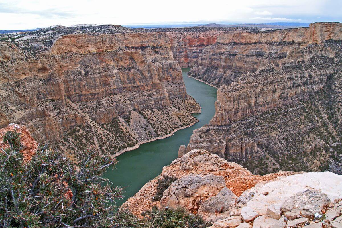 A breathtaking view of a Montana canyon with a serene river flowing through it.