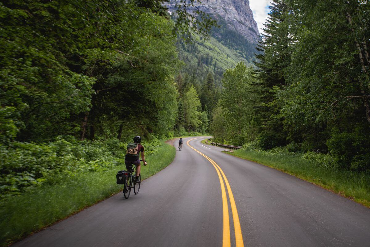 Two cyclists ride down Going-to-the-Sun Road with Montana's stunning mountains in the background.