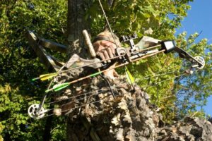 A Complete Guide to the Montana Hunting License System - Pocket Montana