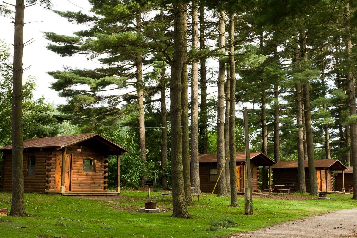 Wooden cabins nestled among tall pine trees in a peaceful forest setting in Montana, with a small path leading up to the cabins.